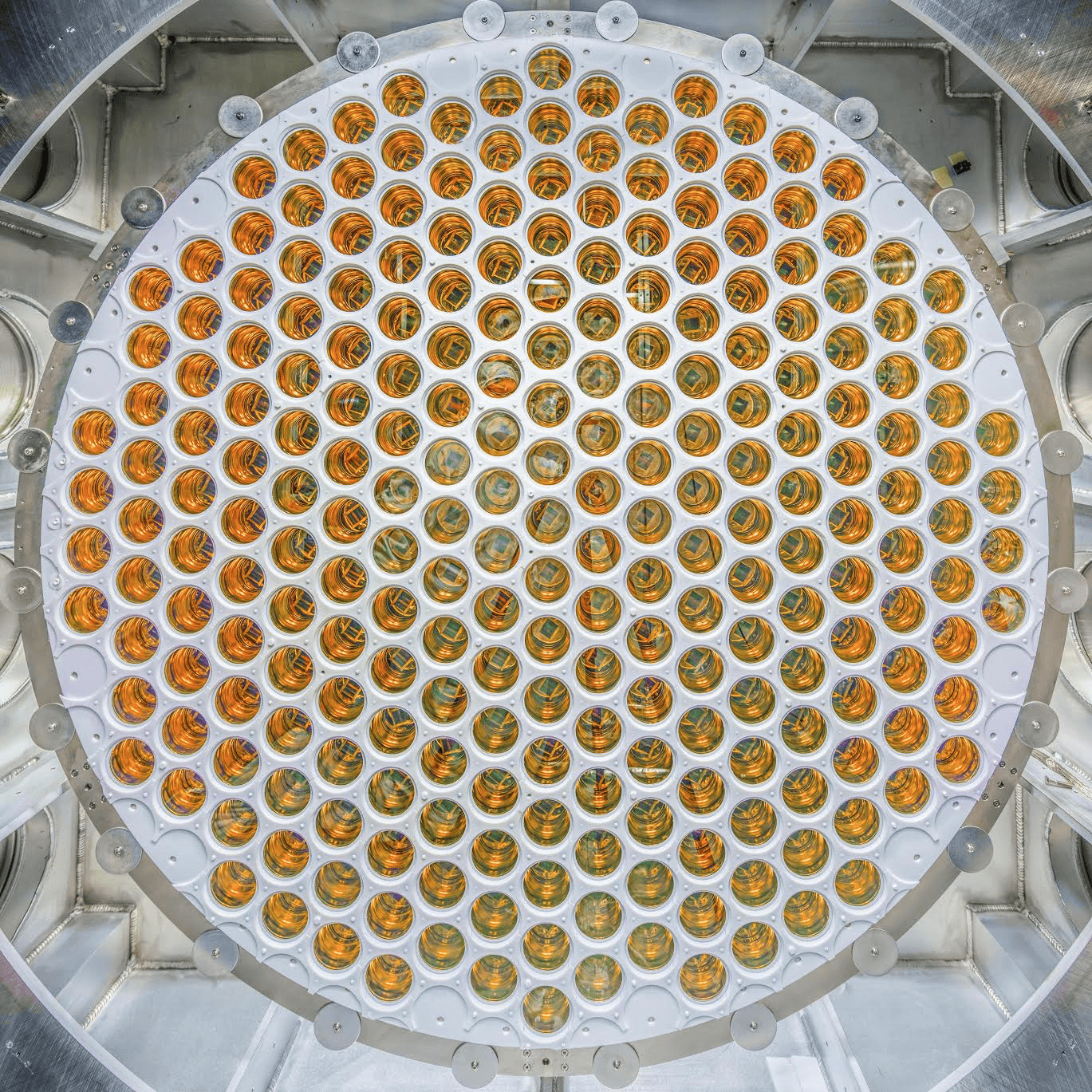 The bottom LZ PMT array with 241 photomultiplier tubes
